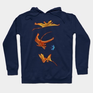 Flight of the Sharovipteryx Hoodie